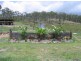 Wurdong Heights QLD 4680
