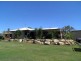 33 Dedekind Avenue, Benaraby QLD 4680