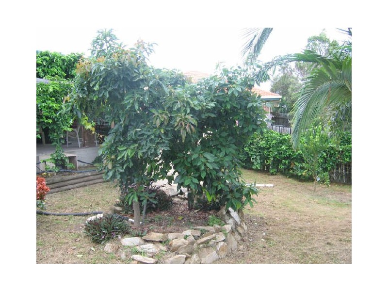 42 Lomandra Street, Boyne Island QLD 4680