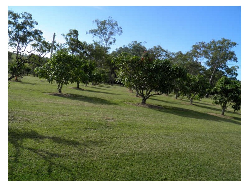 293 Awoonga Dam Road, Benaraby QLD 4680