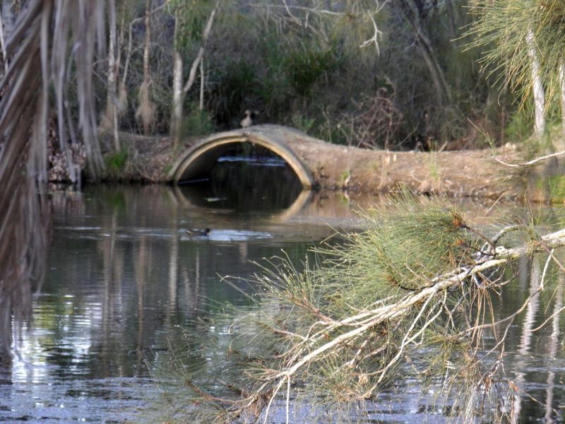 365 Boyne Island Road, Boyne Island QLD 4680