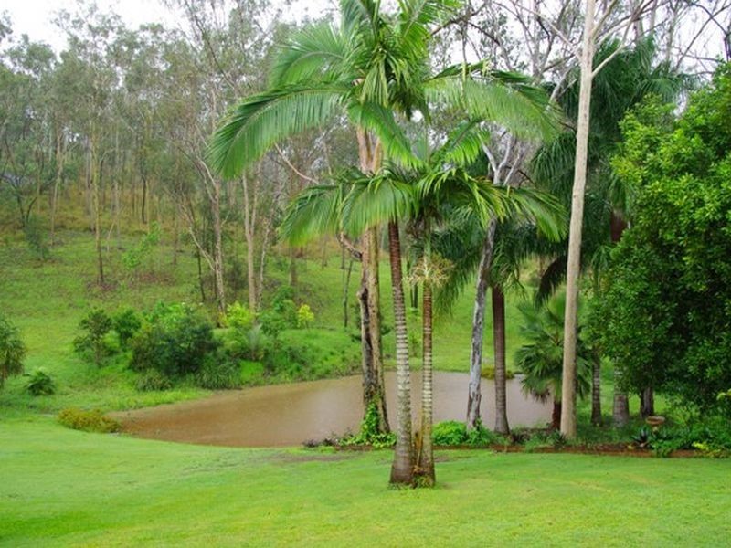 46 Helen Crescent, Wurdong Heights QLD 4680