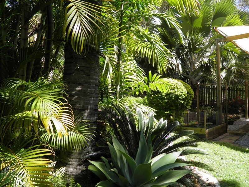 56 Katandra Street, Boyne Island QLD 4680