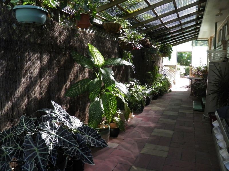 56 Katandra Street, Boyne Island QLD 4680