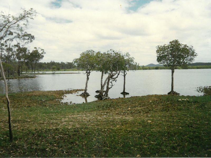 11/478 Intrepid Drive, Foreshores QLD 4678