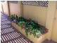 1 Tasman Court, Boyne Island QLD 4680