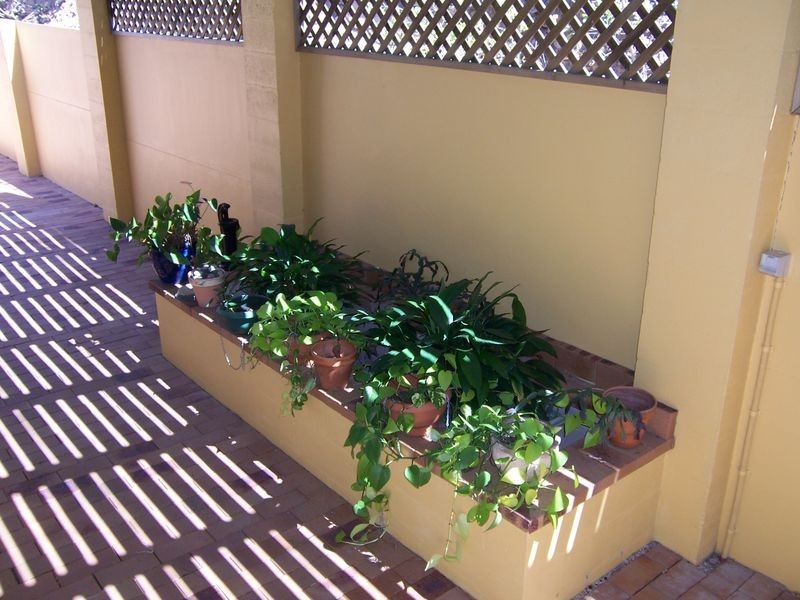 1 Tasman Court, Boyne Island QLD 4680