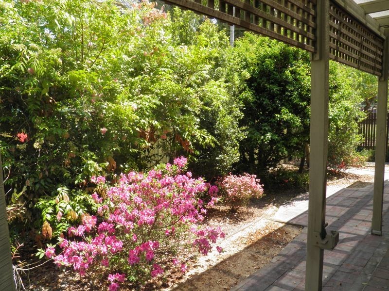 3 Salgado Street, Boyne Island QLD 4680
