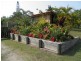 6 Fitzroy Court, Boyne Island QLD 4680