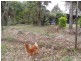 9 Awoonga Dam Road, Benaraby QLD 4680