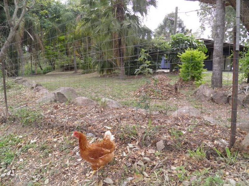 9 Awoonga Dam Road, Benaraby QLD 4680