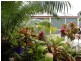 31 Wyndham Avenue, Boyne Island QLD 4680