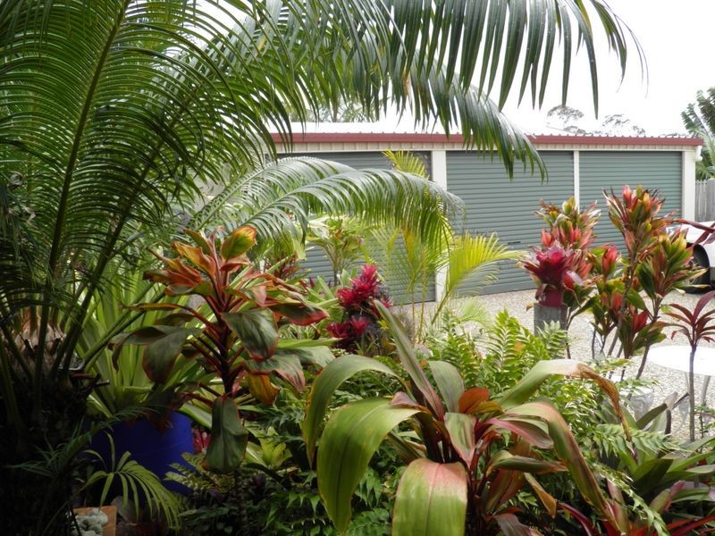 31 Wyndham Avenue, Boyne Island QLD 4680