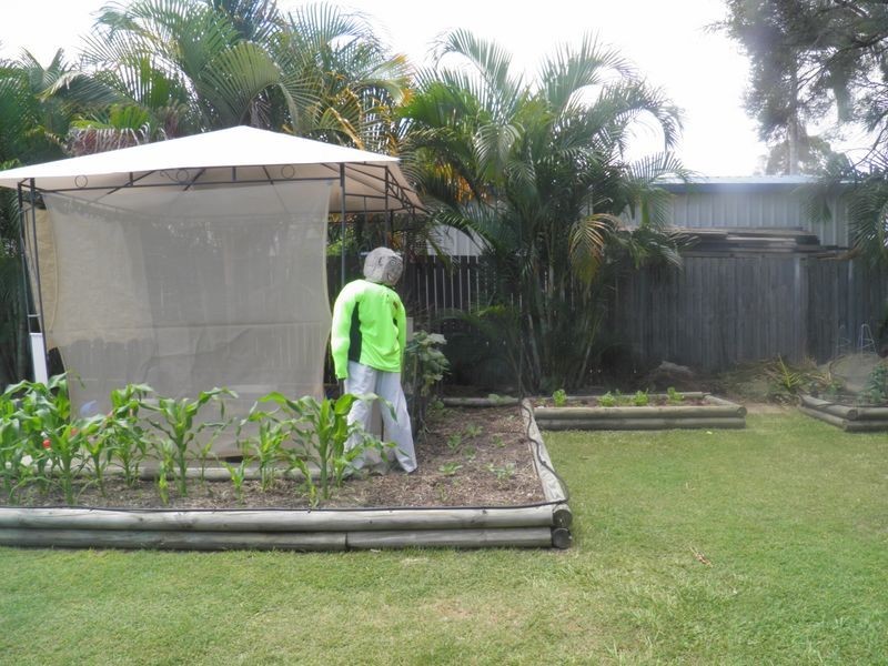 17 Alexander Street, Boyne Island QLD 4680