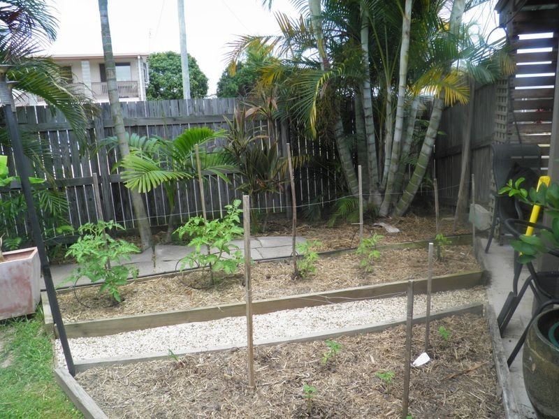 17 Alexander Street, Boyne Island QLD 4680