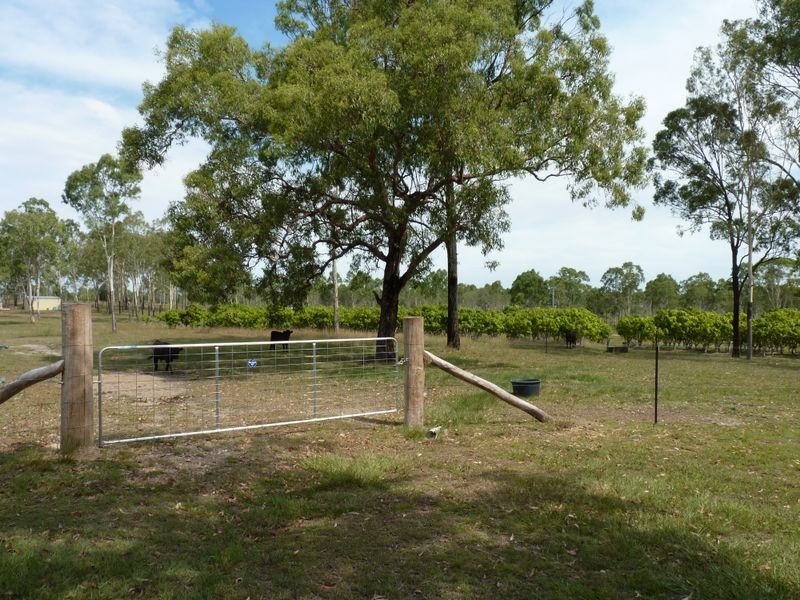 177 Daisy Dell Road, Bororen QLD 4678