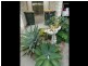 33 Centenary Drive, Boyne Island QLD 4680