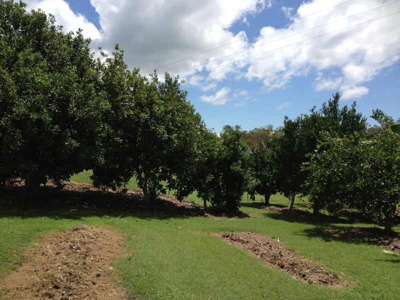 42 Christiansen Road, Raglan QLD 4697