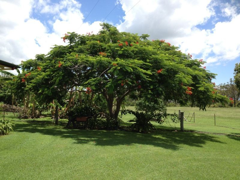 42 Christiansen Road, Raglan QLD 4697