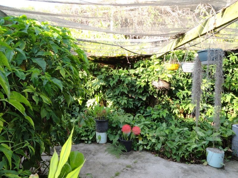 14 Edward Street, Boyne Island QLD 4680