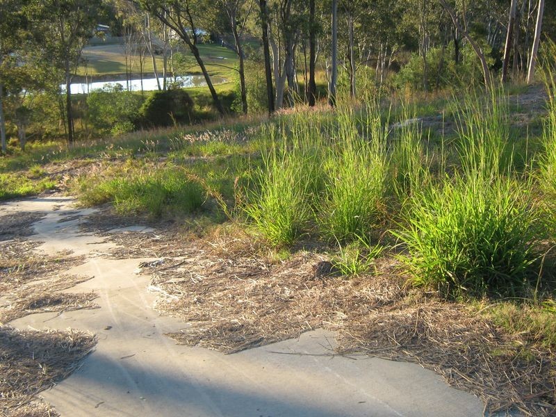 Lot 77 Baruby Blvd, Benaraby QLD 4680