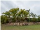 2 Eugenia Street, Boyne Island QLD 4680