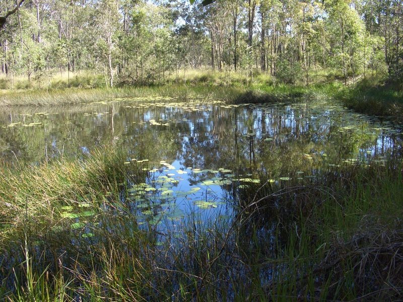 59 Hakea Court, Miriam Vale QLD 4677