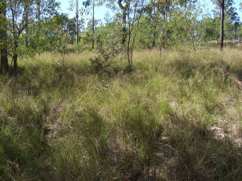 59 Hakea Court, Miriam Vale QLD 4677