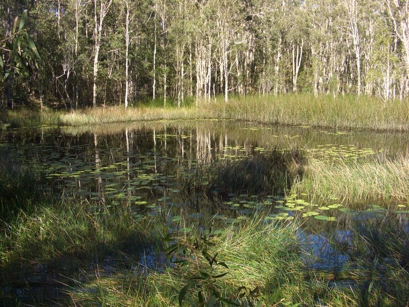 59 Hakea Court, Miriam Vale QLD 4677