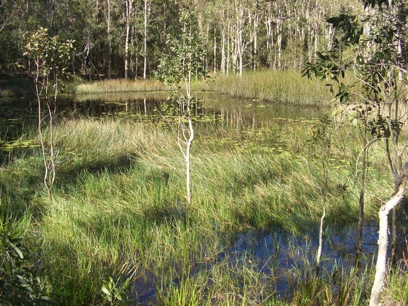 59 Hakea Court, Miriam Vale QLD 4677