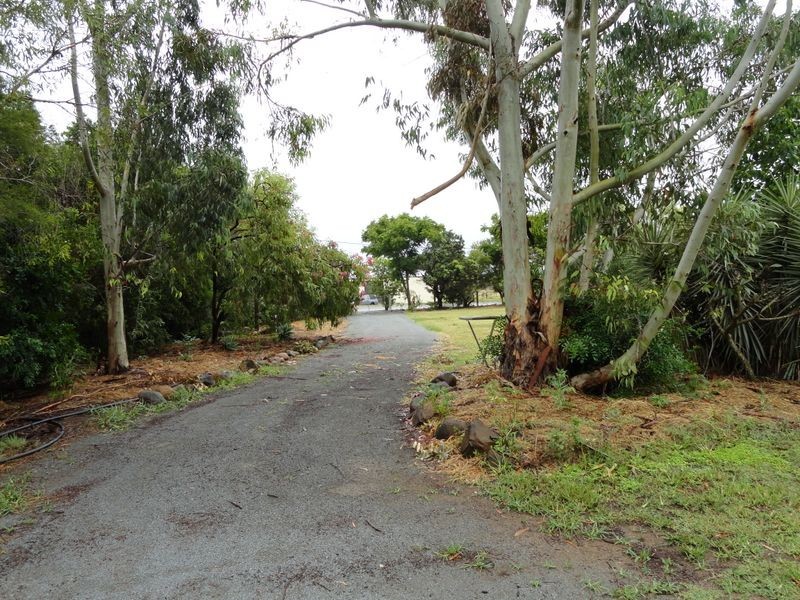 14 Barklya Court, Benaraby QLD 4680