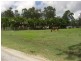 133 Cawthrays Road, Miriam Vale QLD 4677