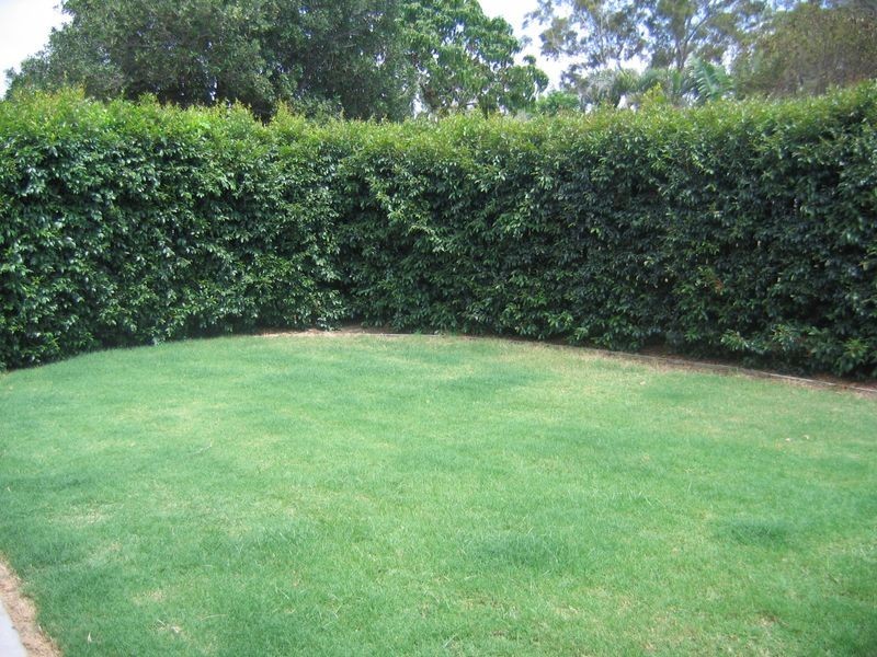 1 Drummond Court, Tannum Sands QLD 4680