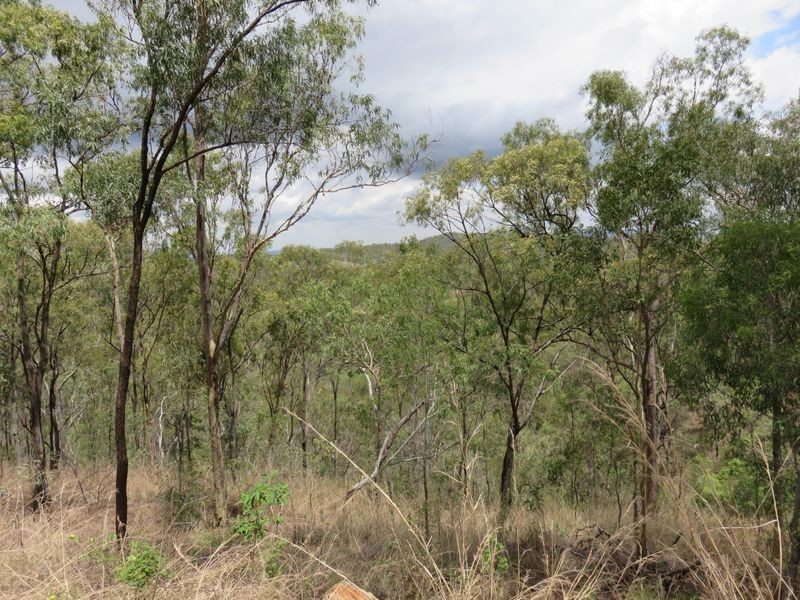 Lot 11 Diamantina Dr, O’connell QLD 4680