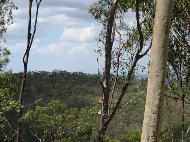 Lot 11 Diamantina Dr, O’connell QLD 4680