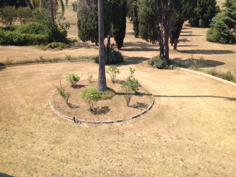 Whittingham NSW 2330