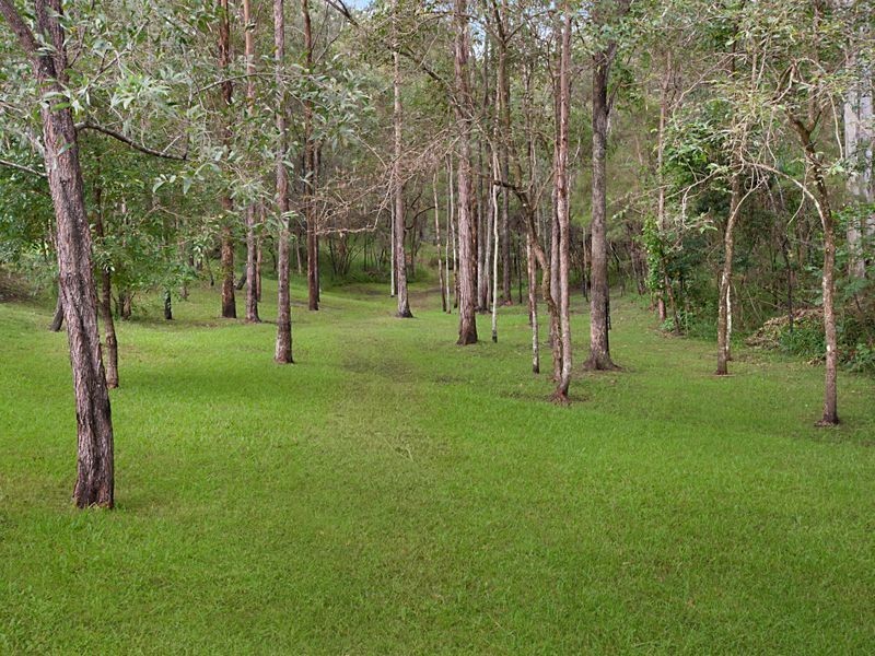 19 Asher Court, Upper Coomera QLD 4209