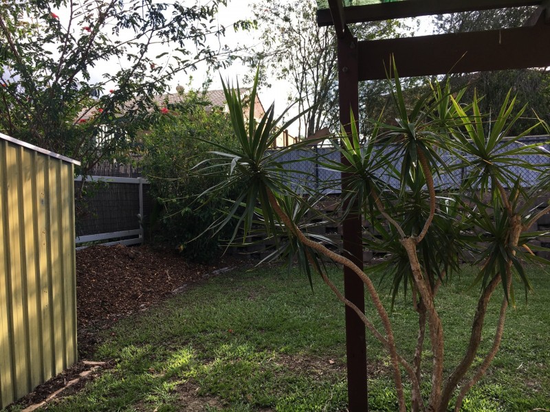 46 Studio Drive, Oxenford QLD 4210