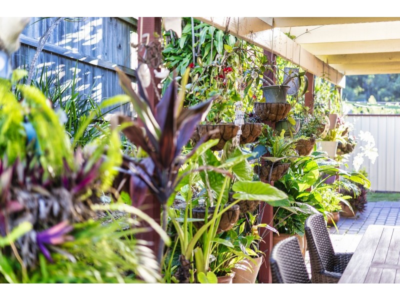 8 Arizona Street, Oxenford QLD 4210