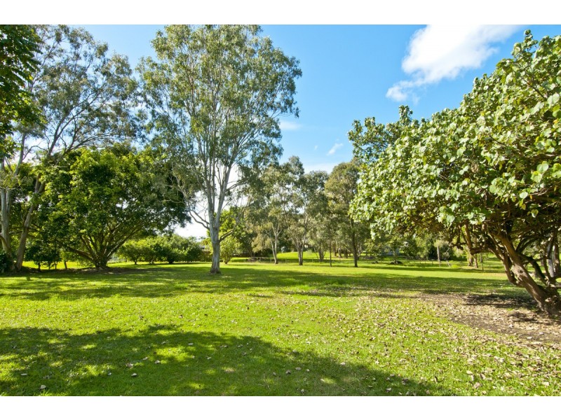 25 Derwent Avenue, Helensvale QLD 4212