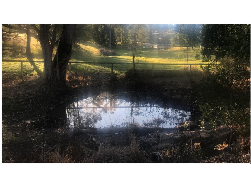 47 Holyrood Road, Maudsland QLD 4210