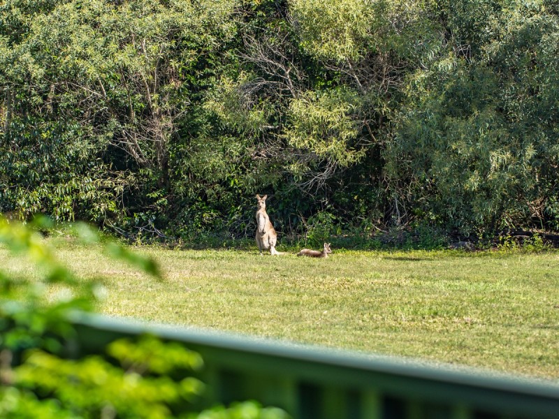 34 Cootharaba Drive, Helensvale QLD 4212