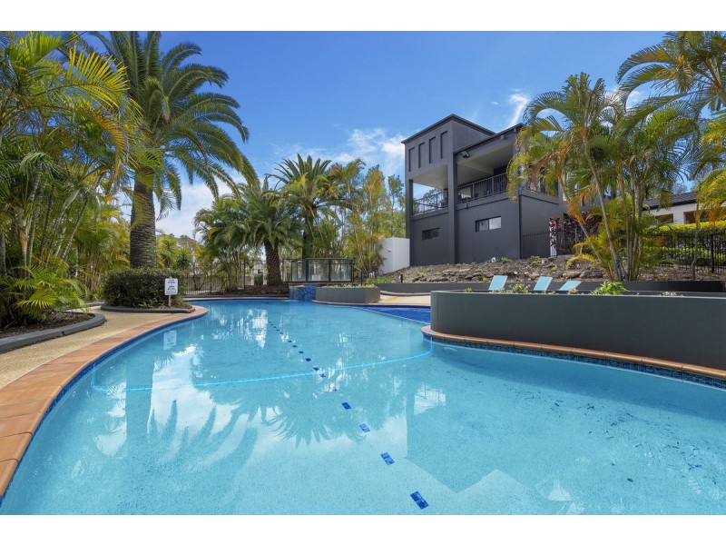 41/24 Amsonia Court, Arundel QLD 4214