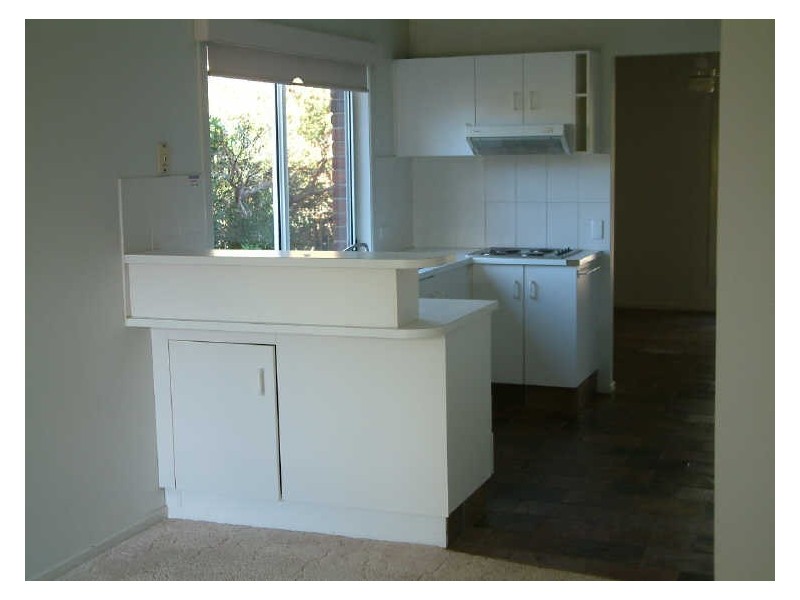 12 Monroe Court, Oxenford QLD 4210