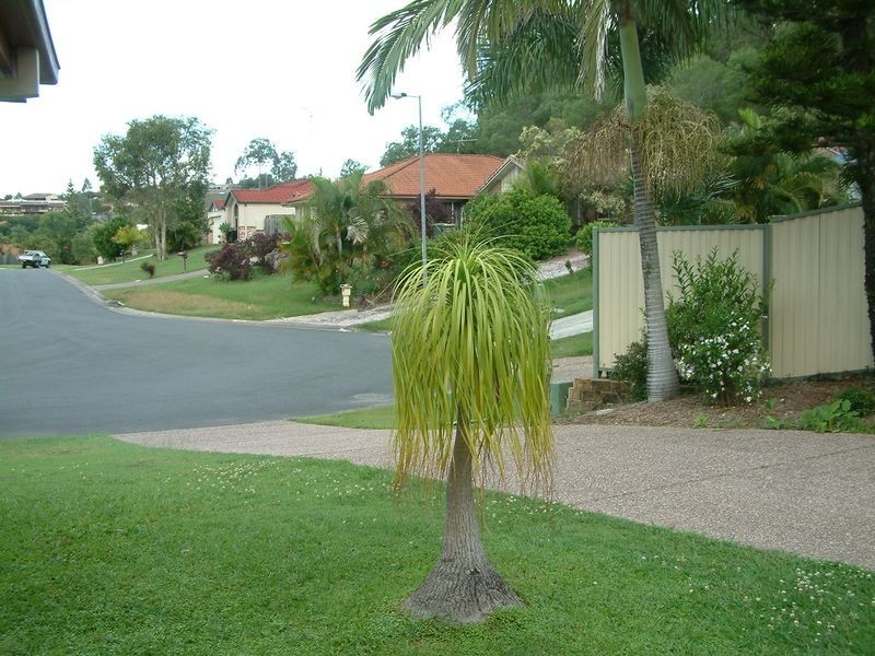 26 Winslow Court, Oxenford QLD 4210