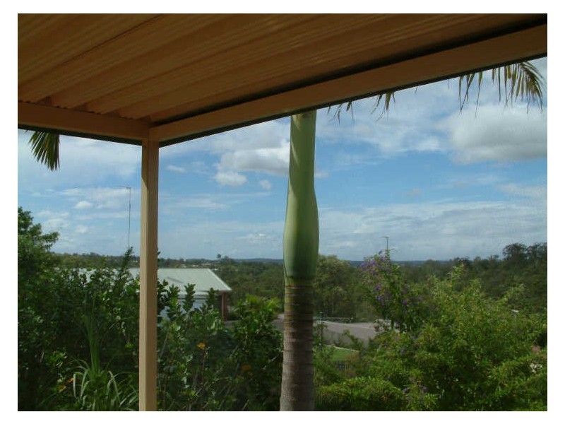 233 Universal Street, Gaven QLD 4211