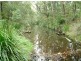 6 Venn Ct, Mount Nathan QLD 4211