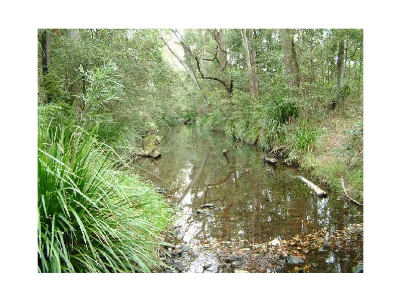 6 Venn Ct, Mount Nathan QLD 4211