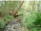6 Venn Ct, Mount Nathan QLD 4211