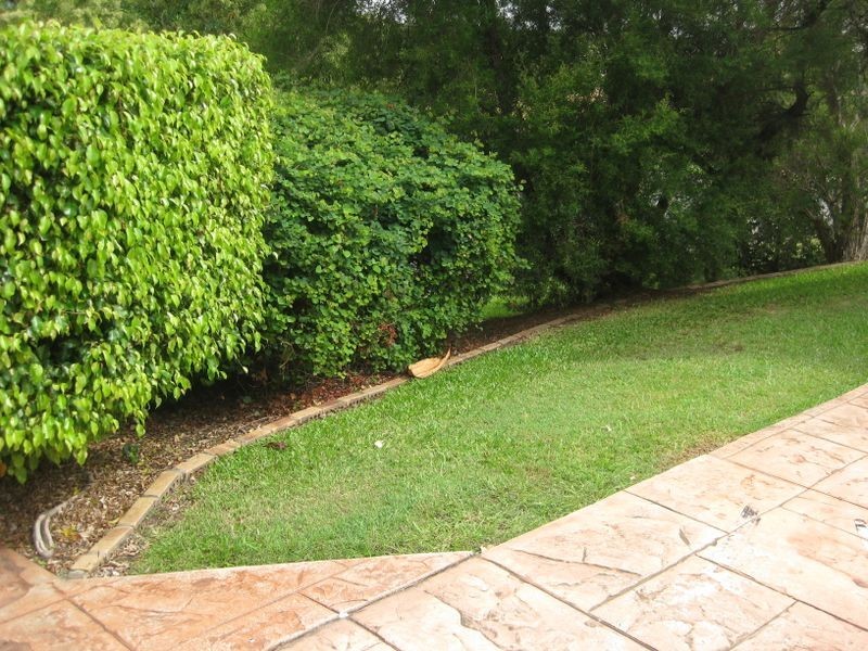 20 Edgeworth Place, Helensvale QLD 4212